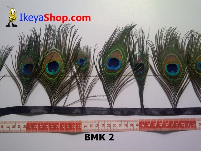 bulu merak BMK 2   feather  large2
